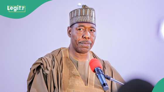 Boko Haram attack reportedly kills seven in deadly explosion in Borno