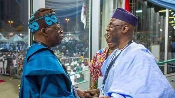 Ahaf: Bana son Tinubu, amma idan ya bani minista zan karba, fasto Bakare ya fadi dalili