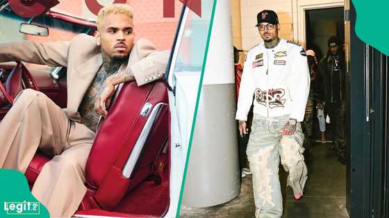 Chris Brown ordered to pay $13 million after housekeeper mauled by security dog