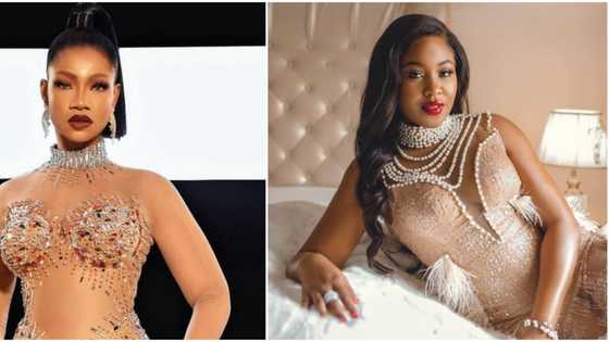 BBNaija disqualification: How fans changed the fortunes of Erica from Lockdown, Tacha from Pepper Dem