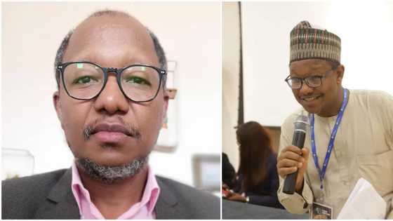 Nigerian genius invented an insect control technology in Brazil