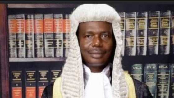Adegboruwa opposes reopening of Lekki tollgate