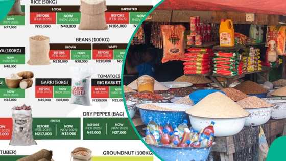 Food prices crash, Presidency releases before and after rates