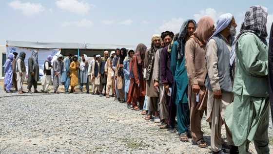 Hundreds of war-displaced Afghans return east