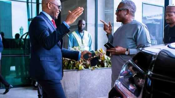 Hotuna: Yadda Biloniyoyi Dangote da Tony Elumelu Suka Dauka Hankalin Jama'a a Filin Jirgi