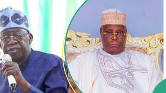 President Tinubu's certificate saga: Atiku told to withdraw