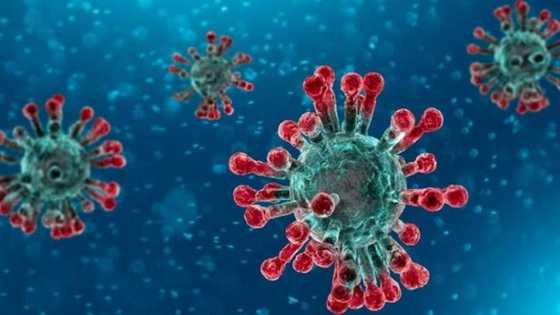 Korona ta kusa fita daga Najeriya, yawan masu kamuwa da ita ya ragu