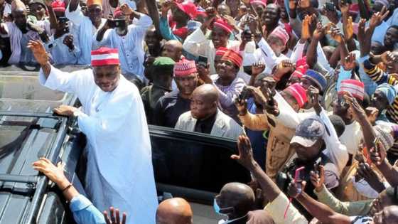 Buba Galadima: Abin da Ya Hana Kwankwaso Zuwa Kotu a Kan Zaben Shugaban Kasa