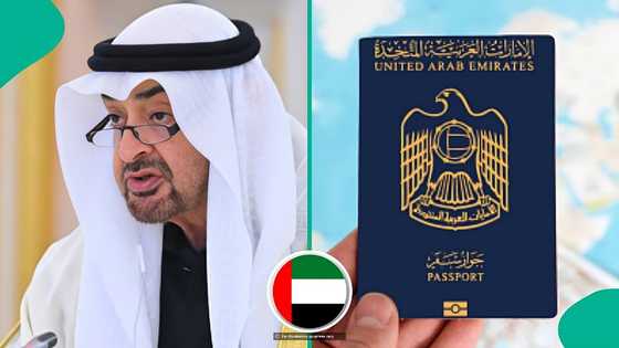 UAE releases requirements for 5-year multiple-entry tourist visa, mentions minimum bank balance