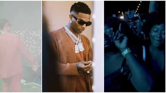 I live for this: Fans go wild as Wizkid shutdown concert in New York City