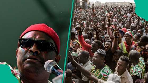 Babu sunan Jonathan a ‘yan takaran PDP, Wike ya samu yadda yake so wajen INEC