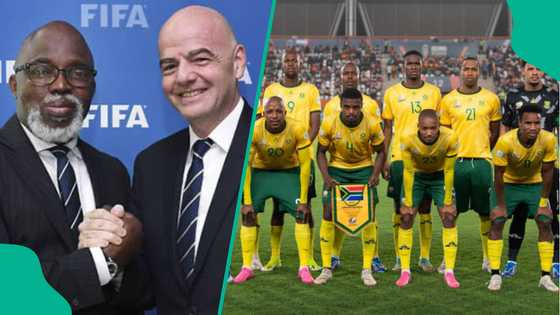 FIFA rewards Nigeria with 3 big appointments days after sanctioning South Africa