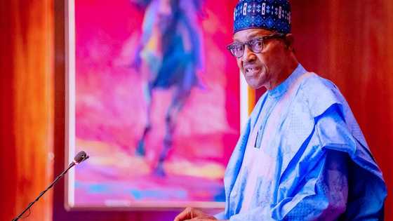 Buhari makes new revelation, says military now have full freedom to deal with terrorists