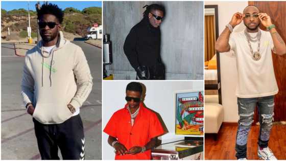 TeeBillz calls on Wizkid, Davido and Burna Boy to go on music tour around the world together, Nigerians react