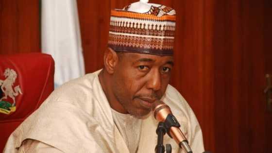 Karantsaye ga tsaro a gidan gwamnatin Borno: Shugaban wata NGO ya shiga hannun hukuma