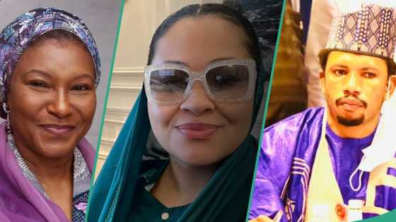 Election disputes: Full list of cases Appeal Court heard in the last 8 days
