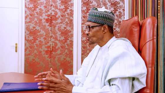 MSME: Buhari zai fara raba wa Direbobin Napep, 'Yan Acaba da Masu tura baro N30,000