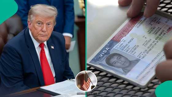 US lists 4 health conditions that could lead to visa rejection in 2026, gives explanation
