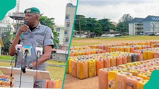 Nigeria Customs auctions 14,875 litres of seized petrol worth N14.8m