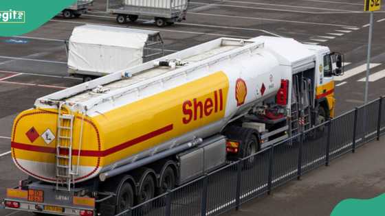 Ondo indigenes claim N3.1 trillion damages from shell, secure court order against oil firm