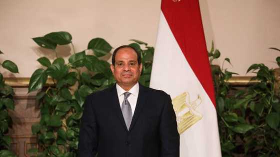 Nigeria missing as Egypt, Ghana, Morocco, 7 other countries are named as Africa's most powerful countries