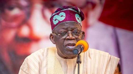 'Karin Bayani: Ba Zan Taɓa Raina Buhari Ba, In Ji Bola Tinubu