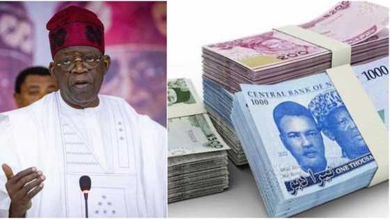 Tinubu Makes Passionate Appeal to Nigerians as Fuel, New Naira Notes Scarcity Bites Harder