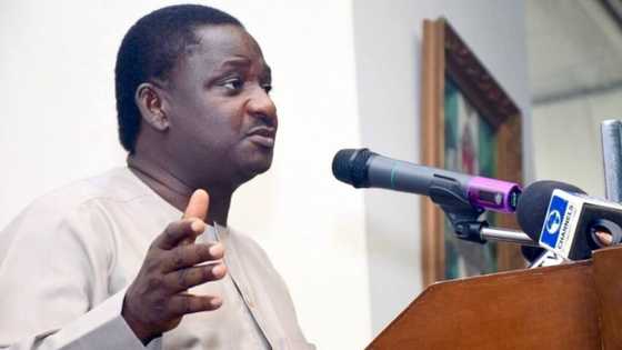 Breaking: Aso Rock is on partial lockdown - Femi Adesina