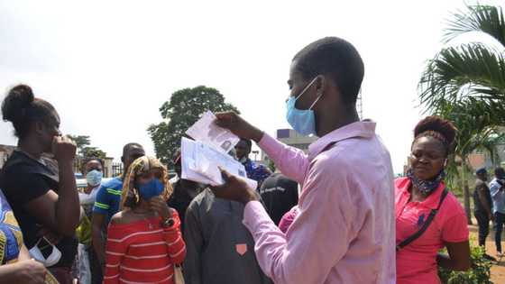 FG begins registration of unemployed persons in 20 local government areas of Lagos