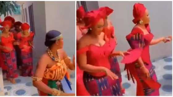 Video of Ghanaian asoebi ladies in revealing corset dresses sparks reactions