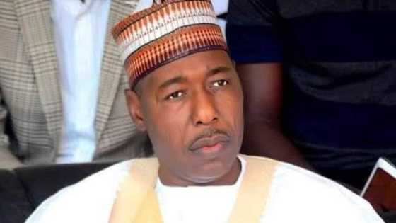 Karin Bayani: Yan ta'addan ISWAP sun gwabza da Mafarauta a Jihar Borno