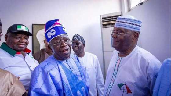 2023 presidency: Like Tinubu, Atiku's powerful ex-campaigner dumps him, endorses another candidate