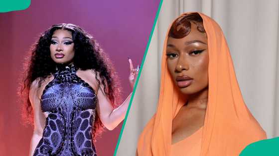 Megan Thee Stallion's biography: Early beginnings, rise to fame, and works