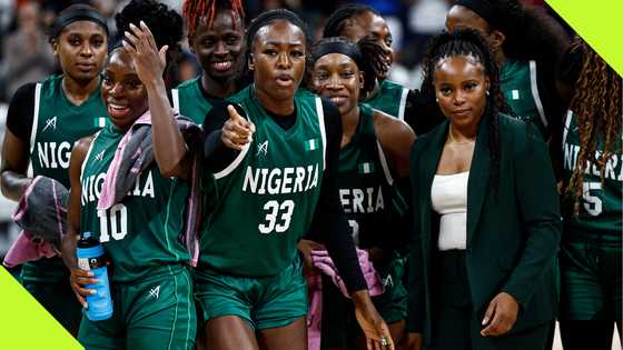 D’Tigress assistant coach slams sports ministry over unpaid allowances