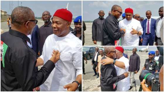 Kallo ya koma sama: Fitaccen gwamnan APC ya karbi bakuncin Peter Obi a jiharsa