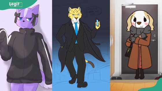 What animals are Aggretsuko characters and who voices them?