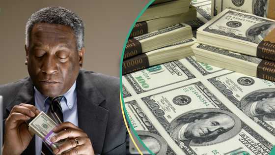 Naira gains N125/dollar after CBN launches platform for forex trading