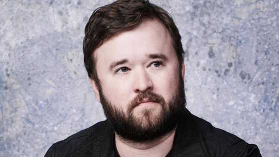 Top facts about Haley Joel Osment: From child actor to household name in Hollywood