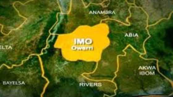 Gunmen kidnap Imo monarch’s wife, set houses of APC, LP chairmen ablaze