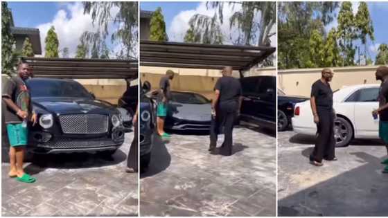 Davido shows off his garage filled with luxury cars, Bentley and Lamborghini spotted in viral video, fans gush