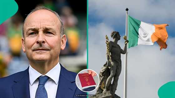 Ireland publishes names of 22 countries eligible for visa-free entry for 90 days, displays full list