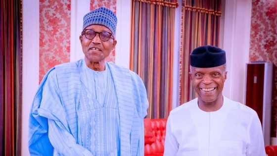 Tinubu or Osinbajo? Northern group reveals who may be Buhari's preferred successor among APC presidential aspirants