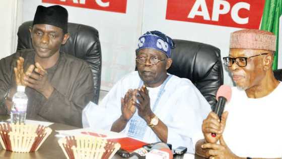 APC: Oyegun ya ki amincewa da ra'ayin su Tinubu, ya fadi dalilan sabunta rijista