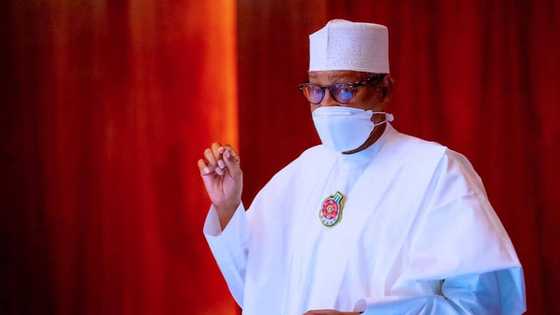 An samu sauyi: Bayan ayyana 'yan bindiga a matsayin 'yan ta'adda, Buhari ya bayyana yadda zai yake su