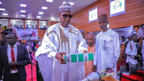 Gwamna Zulum ya lissafo muhimman ayyuka 20 da ya ke fatan yi wa jiharsa a 2022