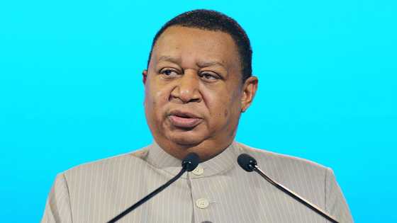 Mohammed Barkindo: 8 things to know about late OPEC secretary-general