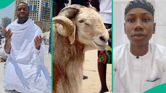Eid-el-Kabir to remember: Femi Adebayo gifts 12-year-old boy Sallah ram, two others money