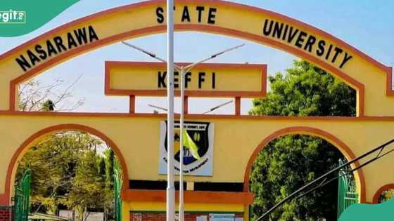 Gwamnan Arewa ya ɗauki mataki mai tsauri kan mutuwar ɗaliban jami'a a wurin wawar shinkafa