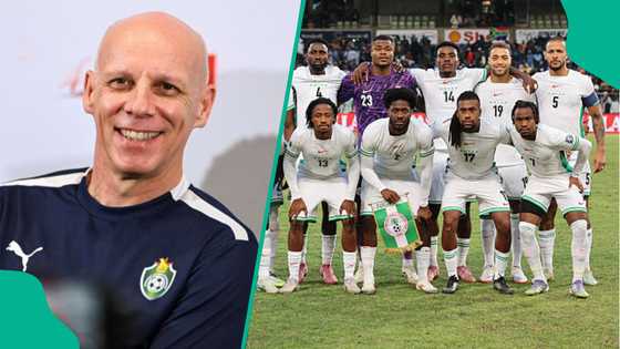 Zimbabwe promise to fight for Nigeria’s World Cup hopes against South Africa