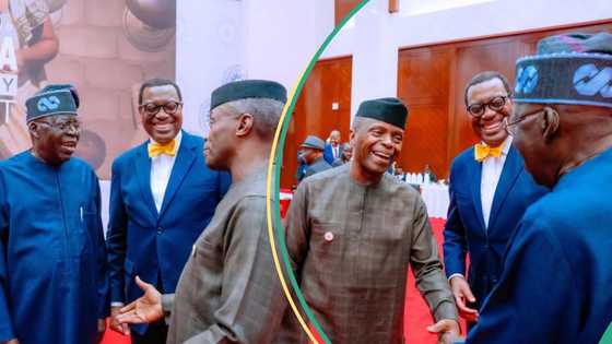 President Tinubu meets Osinbajo, photos, details emerge